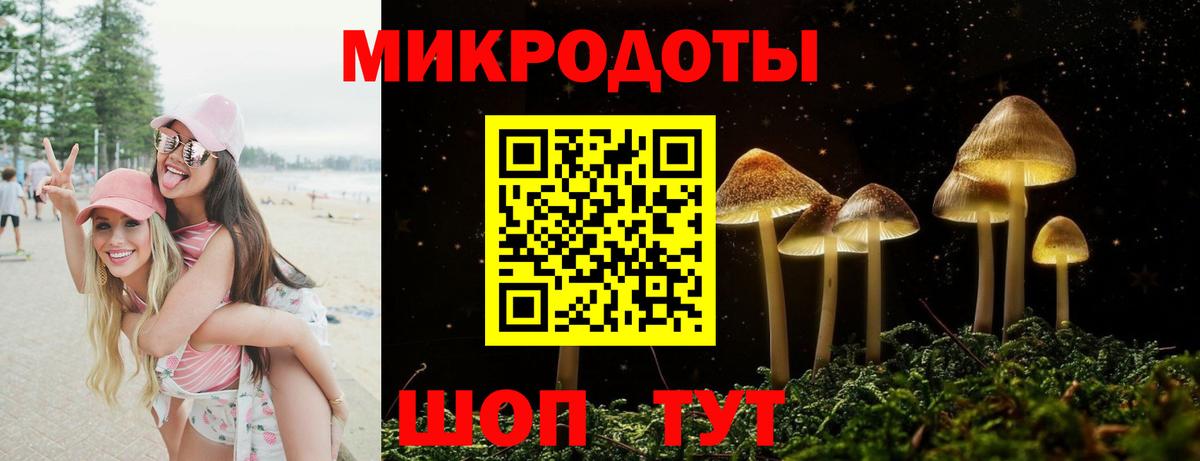 Рославль  Псилоцибиновые грибы GOLDEN TEACHER  Вход с VPN 